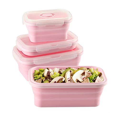 Keweis Silicone Lunch Box, Collapsible Folding Food Storage Container –  Pink and Caboodle