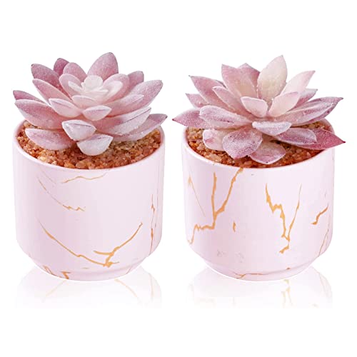 succulents for desk ZENIDA Succulent Artificial Plants,Cute Fake Succulents in 2 Pink Cera – Pink and Caboodle