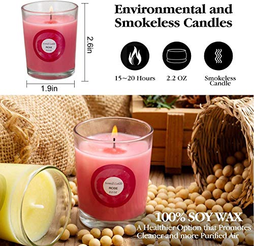 Scented Candles, Floral and Fruit Fragrances, Hand Poured Natural Soy Wax, 20-Pack