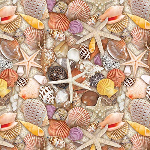 Seashells Printed Tissue Wrapping Paper, 48 Sheets (15 x 20 inches)