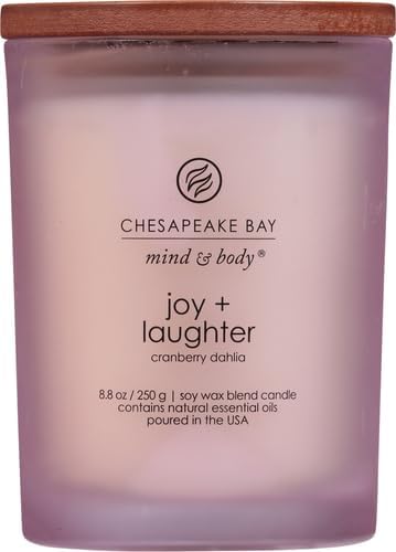 Chesapeake Bay Candle Scented Candle, 8 Ounce, 50-Hour Burn Time  (12 Fragrances)