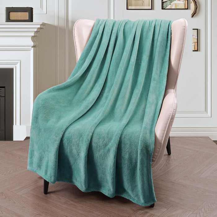 Luxury Flannel Velvet Plush Throw Blanket – 50" x 60"  (25 colors)