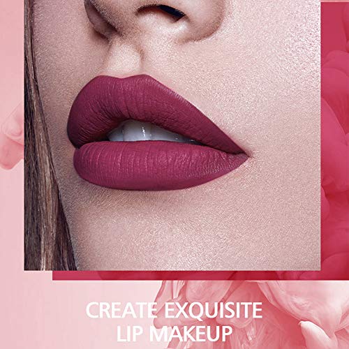24Pcs Matte Liquid Lipstick Set Waterproof Lip Gloss Kit, Long Lasting Lipgloss Kit - Pink and Caboodle