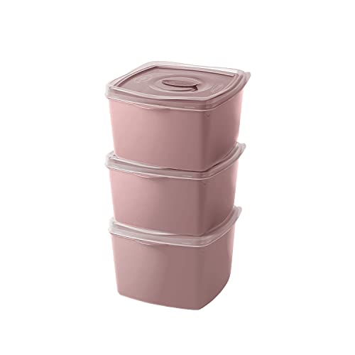 Plasvale - Food Storage Plastic Containers with Vent Valve - Microwave, Freezer and Dishwasher Safe - 6 Pieces - BPA Free (Rose)