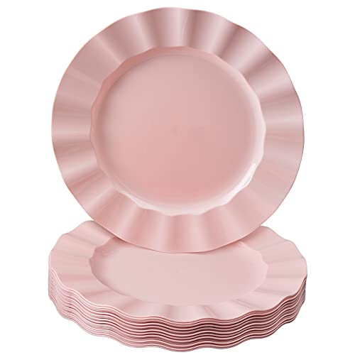 PINK PLASTIC PLATES | Disposable Dinner Plates | Veil | 11.25” | 10 PC