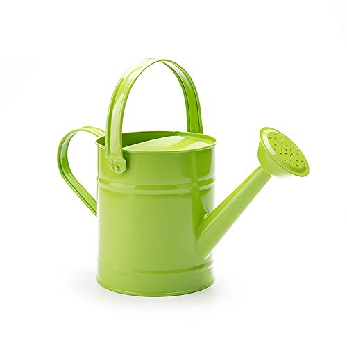 DAMEING Iron Watering Can Metal Watering Can Copper Accents with Anti-Rust Powder Coating for Gardening Plants Flower