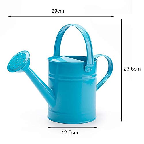 DAMEING Iron Watering Can Metal Watering Can Copper Accents with Anti-Rust Powder Coating for Gardening Plants Flower