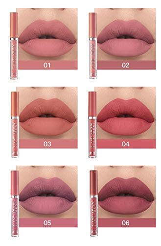 6Pcs Matte Long Lasting Non-Fade Liquid Lipstick Makeup Set, Nudes