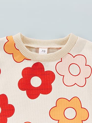 Unisex Girl's or Boy's Summer Print Short Sleeve T-Shirt & Elastic Waist Shorts Set