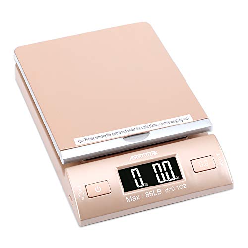 Gold 86-Lbs Digital Shipping Postal Scale with Batteries and AC Adapter