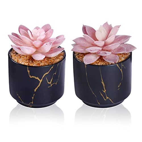 ZENIDA Succulent Artificial Plants,Cute Fake Succulents in 2 Black Ceramic Pots,Small Fake Plants for Office,Table,Desk,Bathroom, Bedroom,Aesthetic Room Shelves Decor,Desk Decorations for Women Office