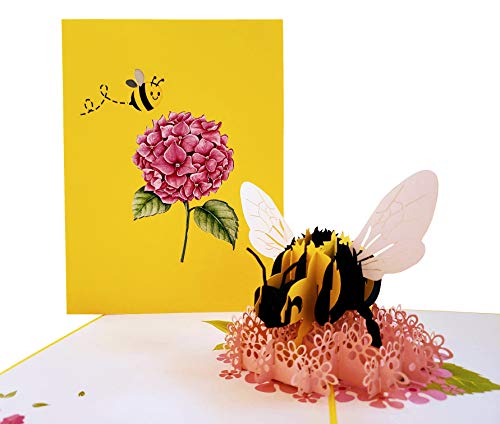 iGifts And Cards Happy Floral Bee 3D Pop Up Greeting Card - Thinking of You, Happy Birthday, Mother's Day, Get Well Soon, Miss You, Congratulations, Love, Cute, Fun