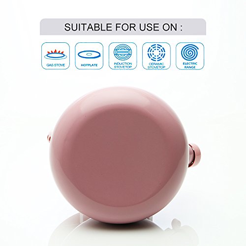 Supreme Housewares Whistling Kettle, Pink Pig