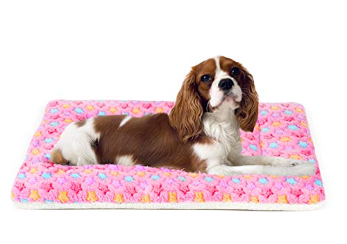 Ultra Soft Pet (Dog/Cat) Bed Mat with Cute Prints | Reversible Fleece Dog Crate Kennel Pad | Machine Washable Pet Bed Liner (24-Inch, Pink)