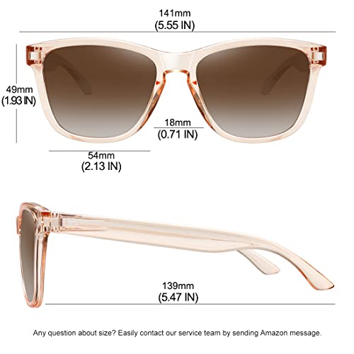 MEETSUN Polarized Sunglasses for Women Men Classic Retro Designer Style (Light Brown Frame/Gradient Brown Lens, 54)