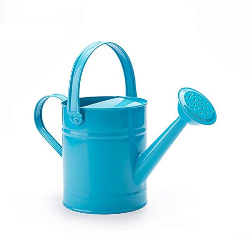 DAMEING Iron Watering Can Metal Watering Can Copper Accents with Anti-Rust Powder Coating for Gardening Plants Flower