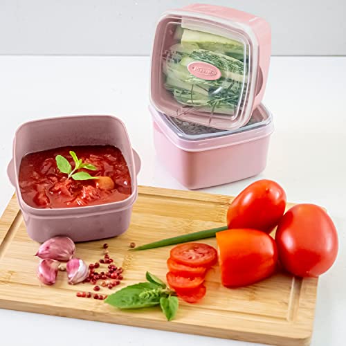 Plasvale - Food Storage Plastic Containers with Vent Valve - Microwave, Freezer and Dishwasher Safe - 6 Pieces - BPA Free (Rose)