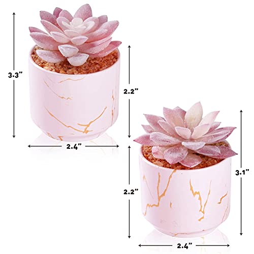 fake succulents in gold pots ZENIDA Succulent Artificial Plants,Cute Fake Succulents in 2 Pink Cera – Pink and Caboodle