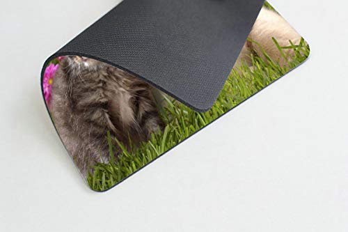 Lovable Animal Friends Dog & Cat Rectangle Computer Mouse Pad