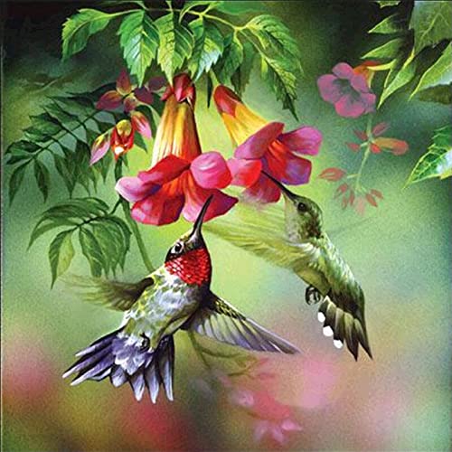 MXJSUA DIY 5D Diamond Painting Hummingbird by Number Kits for Adults, Hummingbird Picking Nectar Diamond Painting Kits Round Full Drill Diamond Art Kit Picture Craft for Home Wall Art Decor 12x12 inch