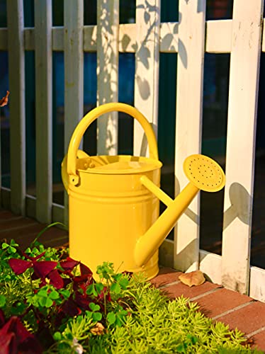 Joequality Watering Can for Outdoor Plants，1 Gallon Metal Plant Watering Can with Detachable Diffuser Spout，Galvanized Steel Gardening Tools，Yellow