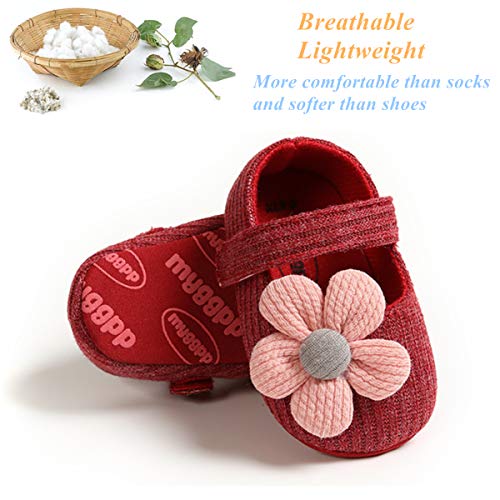 Ohwawadi Infant Baby Girl Shoes, Flowers Baby Mary Jane Flats Princess Dress Shoes Soft Baby Crib Shoes