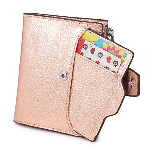 AINIMOER Women's RFID Blocking Leather Small Compact Bi-fold Zipper Pocket Wallet Card Case Purse(Lichee Champaign Gold)