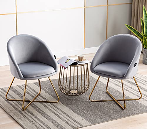 Artechworks Modern Velvet Dinning Chair with Golden Legs, Lounge Chair Set of 2, Accent Armchair for Living Dining Room Bedroom Reception Chair, Grey