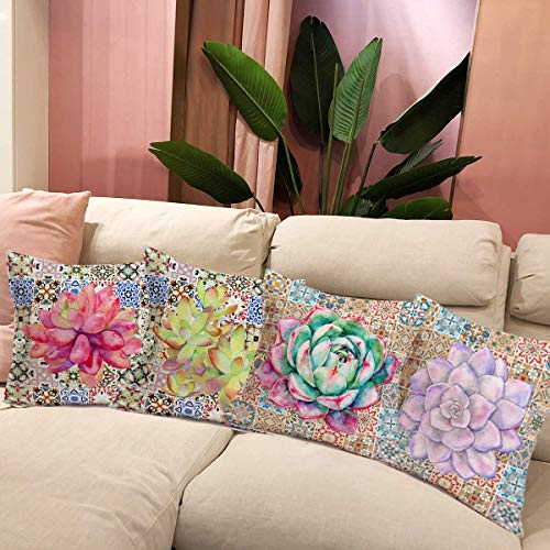 Set of 4 Desert & Tropical Succulent Plants Decorative Throw Pillow Covers, Indoor/Outdoor, 18 x 18 inches
