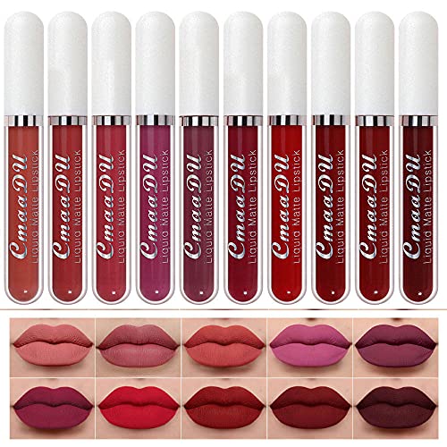evpct 10Pcs Waterproof Liquid Matte Matt Lipsticks Set Matt Liquid,CmaaDU Dark Red 24 Hour Long Lasting Matte Lipstick Lip Stain Gloss Makeup Sets for Women Lippies labiales matte larga duracion 24 15