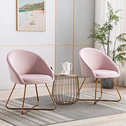 Artechworks Modern Velvet Dinning Chair with Golden Legs, Lounge Chair Set of 2, Accent Armchair for Living Dining Room Bedroom Reception Chair, Pink