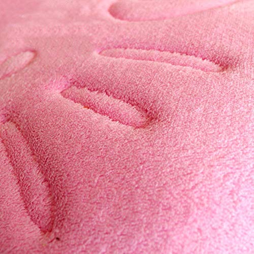 Cute Cartoon Pink Area Rugs Bathroom Rugs Super Soft Memory Foam Bath Mat Non Slip Absorbent Door Mat Kitchen Mat Welcome Mat 15.75x23.62 Inch