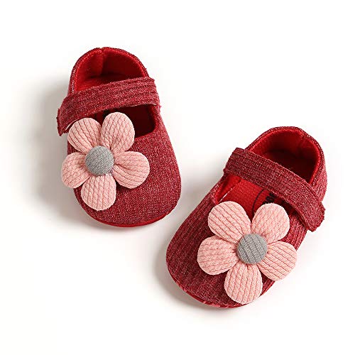 Ohwawadi Infant Baby Girl Shoes, Flowers Baby Mary Jane Flats Princess Dress Shoes Soft Baby Crib Shoes