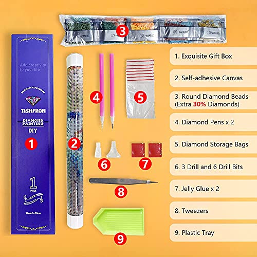 Best Deal for 5D Diamond Painting Kits Full Drill for Adults Kids Dancing