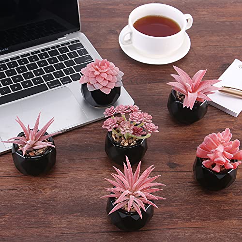 6-Pack Faux Pink Succulent Potted Plant Decor w/Black Ceramic Pots