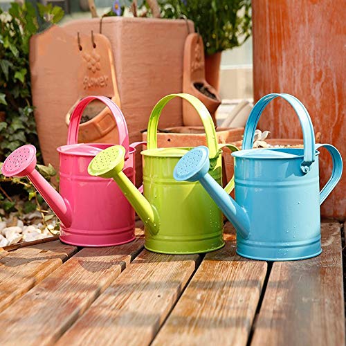 DAMEING Iron Watering Can Metal Watering Can Copper Accents with Anti-Rust Powder Coating for Gardening Plants Flower