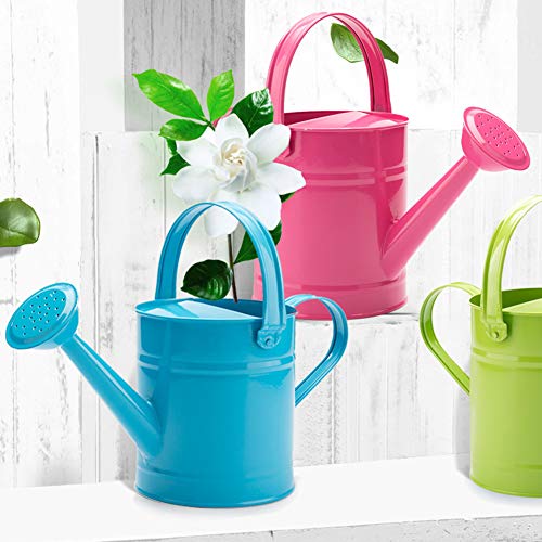 DAMEING Iron Watering Can Metal Watering Can Copper Accents with Anti-Rust Powder Coating for Gardening Plants Flower