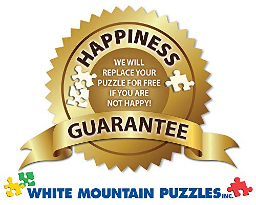 White Mountain Puzzles A Day at The Beach - 1000 Piece Jigsaw Puzzle