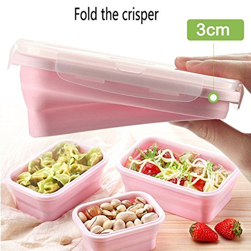 Collapsible Containers Food Storage