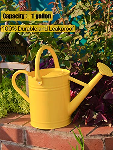 Joequality Watering Can for Outdoor Plants，1 Gallon Metal Plant Watering Can with Detachable Diffuser Spout，Galvanized Steel Gardening Tools，Yellow