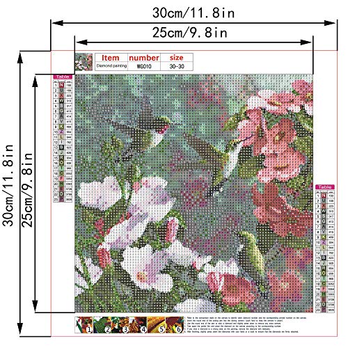 Hummingbird and Flowers Diamond Painting Kit for Kids & Adults, Full Drill