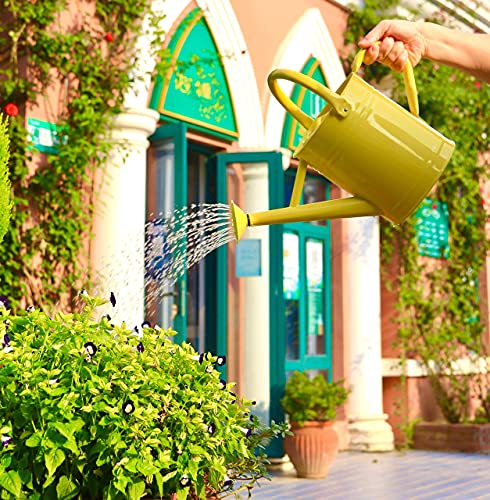 Joequality Watering Can for Outdoor Plants，1 Gallon Metal Plant Watering Can with Detachable Diffuser Spout，Galvanized Steel Gardening Tools，Yellow