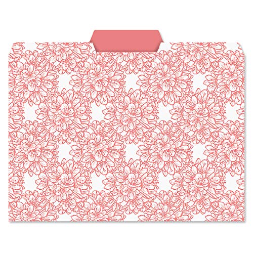 Set of 24 Charcoal & Coral File Folders, 6 Bright Designs, 1/3 Cut Tabs, Standard Letter Size