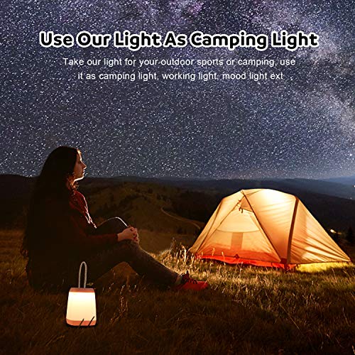 Pink & Blue 2-Pack Portable Battery Powered 3-Mode LED Tent Camping Lanterns