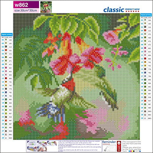 MXJSUA DIY 5D Diamond Painting Hummingbird by Number Kits for Adults, Hummingbird Picking Nectar Diamond Painting Kits Round Full Drill Diamond Art Kit Picture Craft for Home Wall Art Decor 12x12 inch
