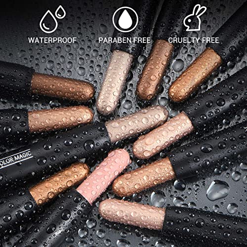 6 Pieces Neutral and Brown Metallic Eyeshadow Stick Pencil Crayons, Waterproof & Long Lasting