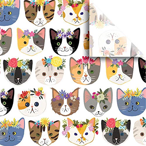 Kitty Cats Printed Tissue Wrapping Paper, 48 Sheets (15 x 20 inches