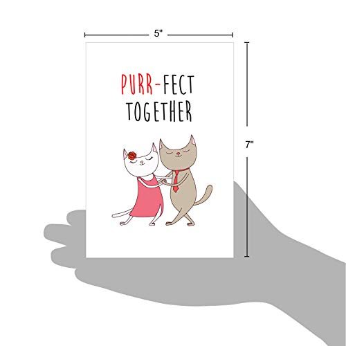 "Purr-Fect Together" Happy Anniversary Greeting Card with Envelope - Pink and Caboodle
